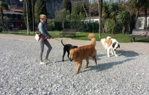 Hundegespr�che in Torbole