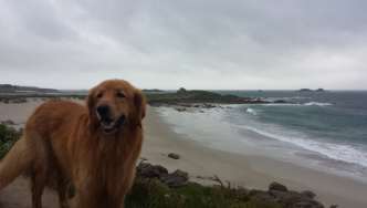Bretagne mit schlechtem Wetter..blo� weg hier