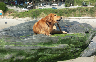 Mein Platz mein Stock mein Strand in Sanxenxo