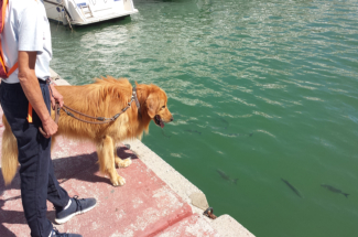  Almerimar   Lecker Fisch