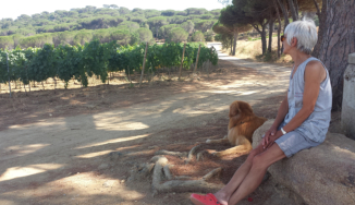 Ramatuelle bei Saint Tropez