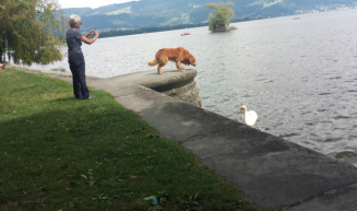 Lindau am Bodensee