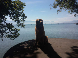 Lindau am Bodensee