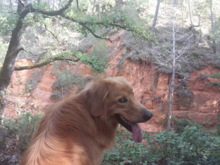 Ockerfelsen Bei Rustrel
