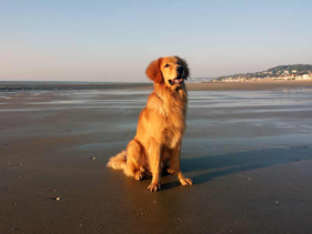 Villers-Sur-Mer